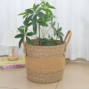 Macro shot of natural seagrass woven plant basket texture with reinforced handle