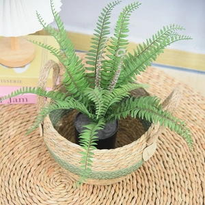 Detail showing natural seagrass woven plant basket with handles and green striped accents