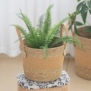 Detail of hand-woven straw plant basket with reinforced handles and indoor greenery