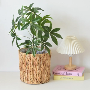 Detailed view of woven water hyacinth basket with a money tree plant for home decor