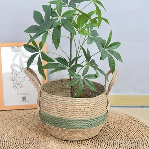 Detail of handwoven seagrass basket with green decorative band and hemp rope handles