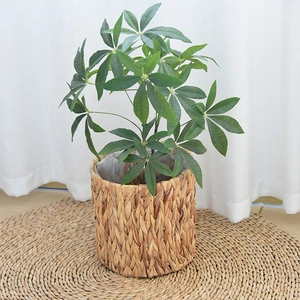 Close-up of woven water hyacinth planter basket with a waterproof lining and plant
