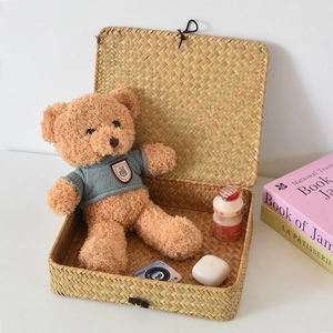Detail view of a woven seagrass storage box with lid showing a teddy bear and natural texture