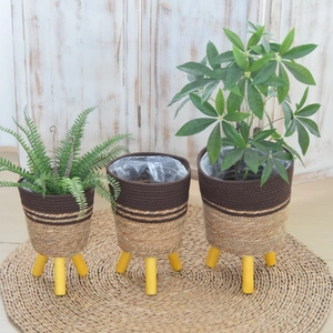 Detailed set of three woven plant baskets with wooden legs for indoor home decor