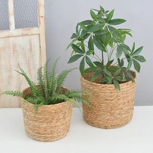 Set of two round handwoven straw flower baskets with green plants for home decoration