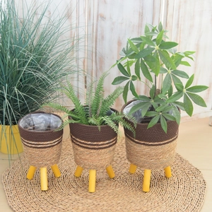 Set of 3 Nordic woven plant baskets with wooden tripod stands and waterproof liners