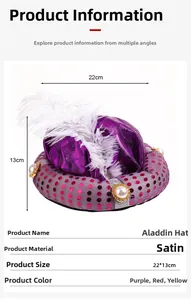 Aladdin theme hat detail showing purple satin texture with pearl and white feather