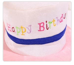 Detail of Happy Birthday embroidery on soft white plush party hat with pink trim