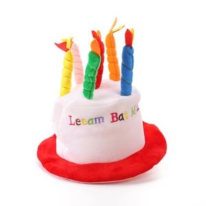 Cute plush birthday cake party hat with colorful candles and embroidery on white background