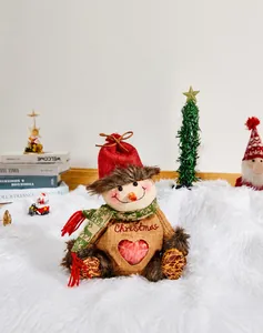 Detailed Christmas snowman gift bag with heart window showing a fresh red apple inside