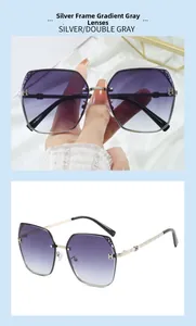 Detail view of silver frame sunglasses with gradient grey lenses and H-shaped metal hinges