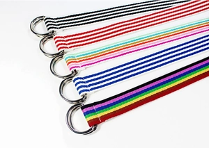Détail de cinq ceintures en toile de nylon rayée avec boucles métalliques à double anneau D