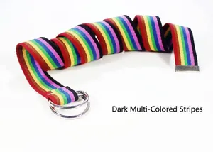 Détail d'une ceinture en nylon à rayures arc-en-ciel sombres avec double boucle en D