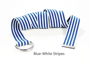 Détail de la ceinture en toile de nylon à rayures bleues et blanches avec boucle double anneau D
