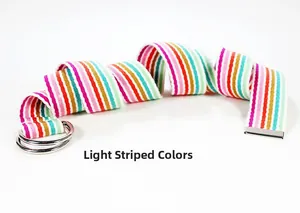 Détail d'une ceinture en nylon à rayures colorées avec boucle à double anneau en D argenté