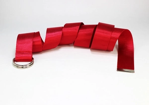 Detailansicht eines roten gewebten Nylon-Gürtels mit silberner D-Ring-Schnalle aus Metall