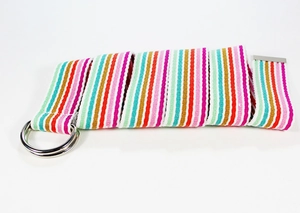 Détail d'une ceinture en toile de nylon à rayures colorées avec boucles doubles anneaux D