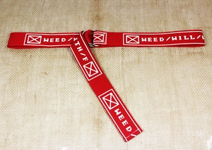 Detail of red nylon canvas belt with double D-ring buckle and white street style lettering
