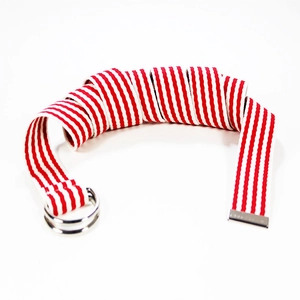 Ceinture en toile à rayures rouges et blanches avec double boucle en D argentée style