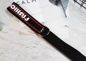 Détail de la ceinture en toile de nylon noir avec boucle double-D et texte fashion