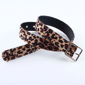 Ceinture léopard pour femme avec boucle carrée argentée sur fond blanc, style vintage chic