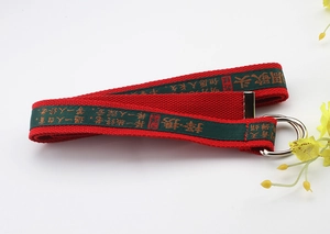 Detail of red and green canvas belt with double D-ring buckle and Chinese calligraphy