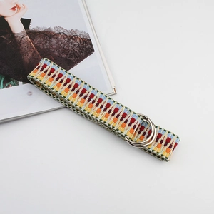 Detail of colorful woven canvas belt with ethnic pattern and silver double D-ring buckle