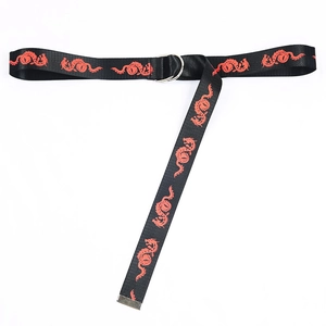 Close-up of canvas belt featuring red dragon prints and a silver double D-ring metal buckle