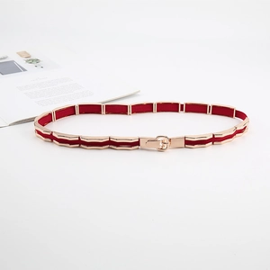 Elegant gold metal frame and red webbing elastic waist belt with round pin buckle