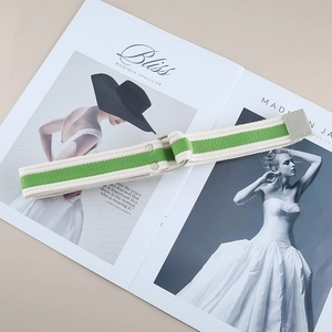 Detailed macro view of green and beige striped canvas belt with silver double D-ring buckle