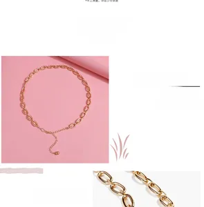 Detailed view of bold gold metal link chain with adjustable lobster clasp and small charm