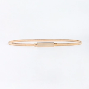 Detail of slim gold metallic elastic belt with a polished rectangular buckle closure
