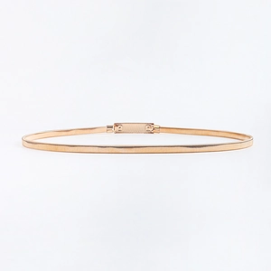 Detail view of gold metal snake chain elastic belt with sleek rectangular clasp