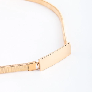 Detail view of gold elastic snake chain belt with minimalist rectangle metal buckle