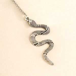 Detail view of silver snake pendant with intricate scales and a dual-layer chain