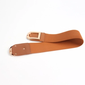 Detail of a brown elastic wide waist belt featuring a polished gold rectangular buckle