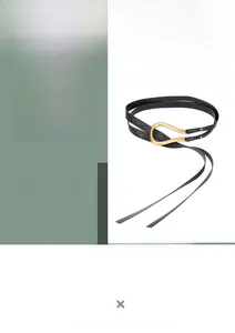 Detail eines schwarzen Ledergürtels mit goldener Hufeisenschnalle in U-Form für Kleider