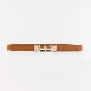 Detailed macro view of the interlocking gold buckle and brown elastic belt fabric