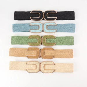 Set of 5 women's elastic woven belts in various colors with golden buckle and retro design