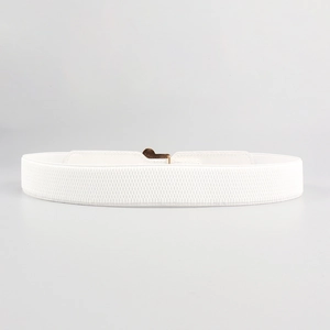 Detail of white elastic waist belt with woven texture and gold metal buckle