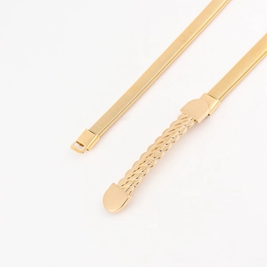 Detailed macro view of a thin gold snake chain belt with a textured metallic clasp
