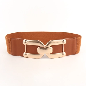 Close-up of golden interlocking buckle and brown elastic fabric on the wide belt