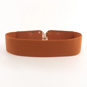 Detail of a brown elastic waist belt featuring a gold metal buckle on white background