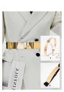Detail view of gold polished metal belt with elastic band and adjustable chain links