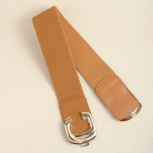 Macro shot of brown elastic belt showing the gold horseshoe metal buckle and leather trim