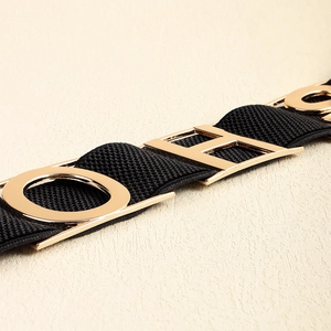 Detailed shot of elastic waist belt with polished gold H-shaped metal buckle on black band
