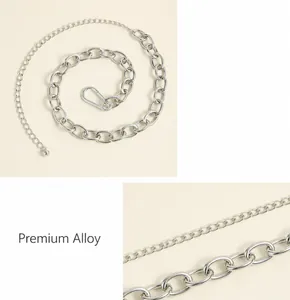 Detail of silver alloy chain belt featuring bold horseshoe buckle and adjustable links