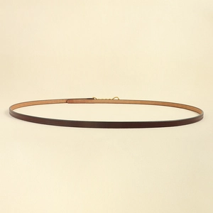 Macro di una cintura sottile in pelle marrone scuro con fibbia in metallo dorato su beige