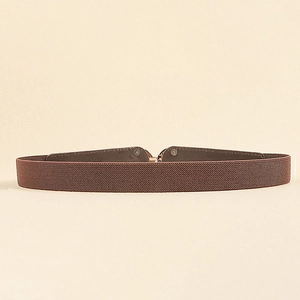 Detail of a brown woven elastic belt with a golden interlocking metal buckle for dresses