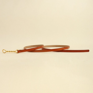 Dettaglio della cintura sottile in pelle marrone con fibbia a spirale dorata di design
